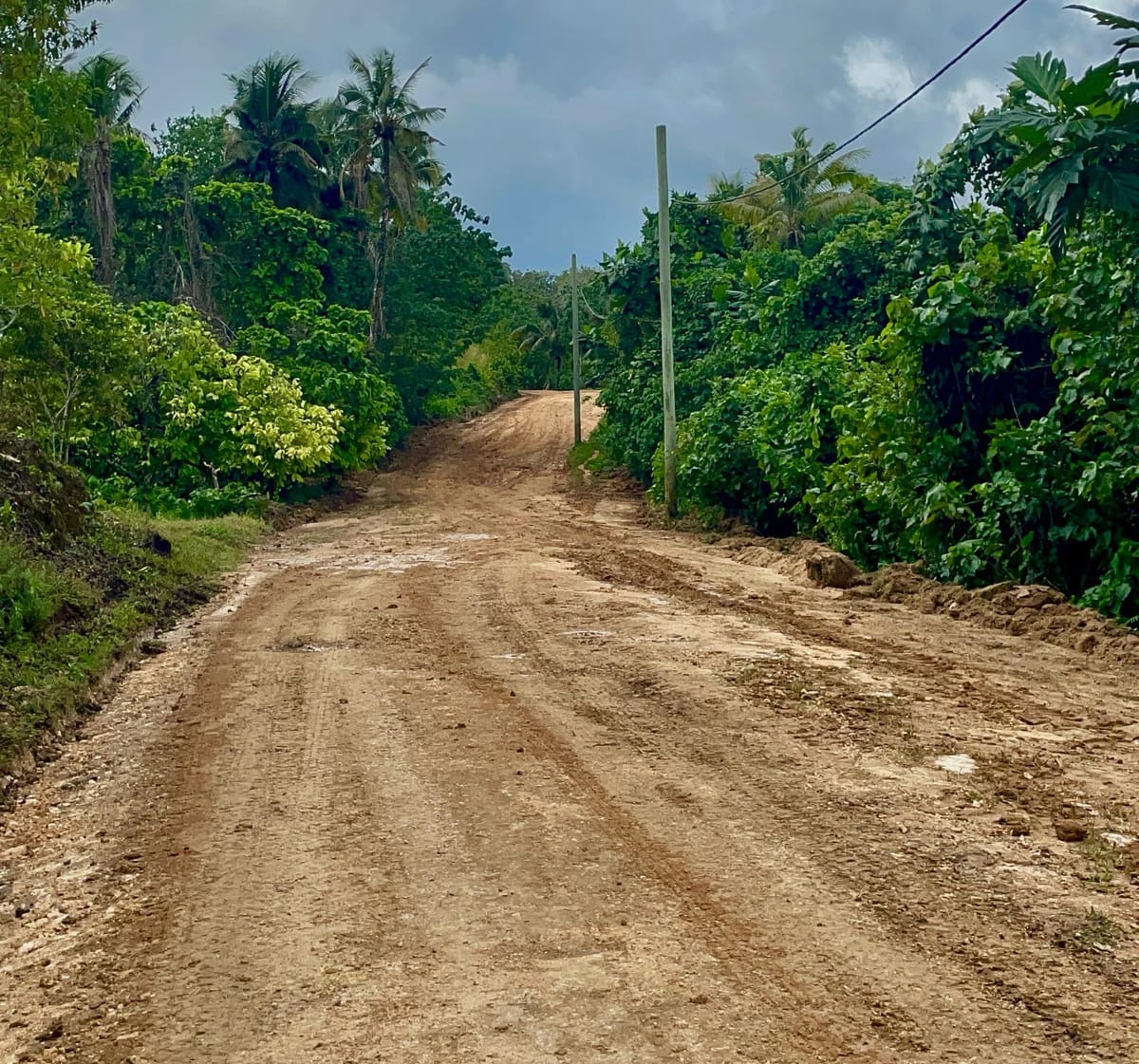 Hon. Ricky Fuo’o Takes Action: Afio/Fulisango Emergency Road Repair, Central Kwara’ae Constituency.