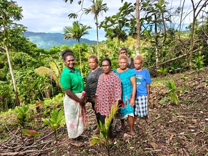Empowering Rural Women Through Agriculture: UNDP Training Boosts Market Skills in Solomon Islands