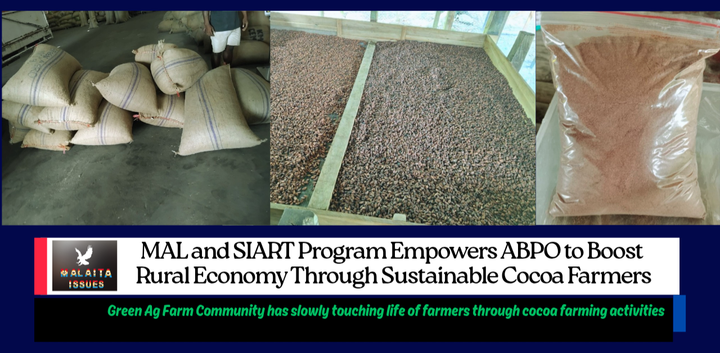 MAL and SIART Program Empowers ABPO to Boost Rural Economy Through Sustainable Cocoa Farming.